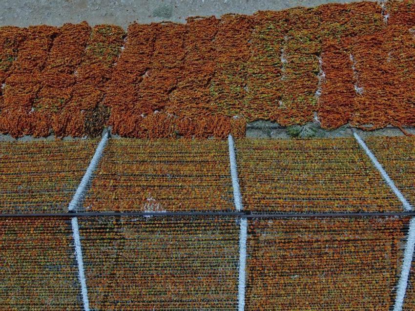 Gaziantep mutfağının vazgeçilmezi, dünyanın tercihi oldu! 15 günde oluyor, 150 liraya kapış kapış gidiyor