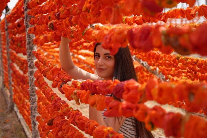 Gaziantep mutfağının vazgeçilmezi, dünyanın tercihi oldu! 15 günde oluyor, 150 liraya kapış kapış gidiyor