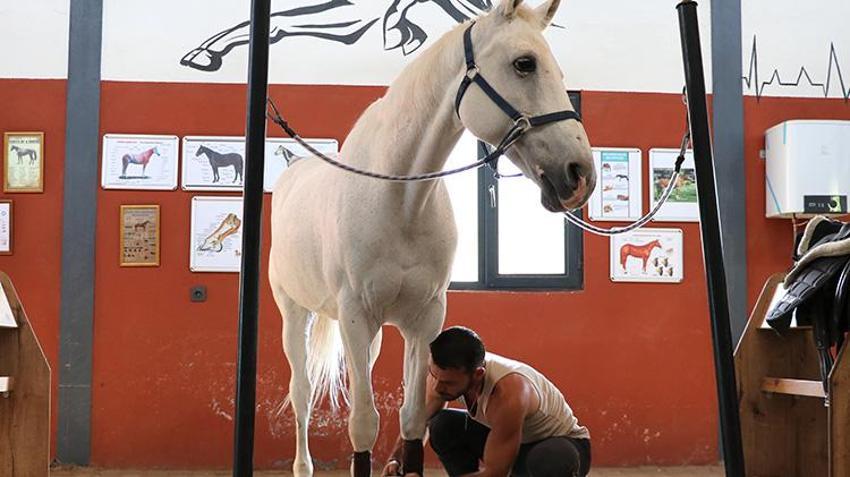 Gaziantep'te yaşayan doktor hobi olarak başladığı binicilikte lisanslı sporcu oldu