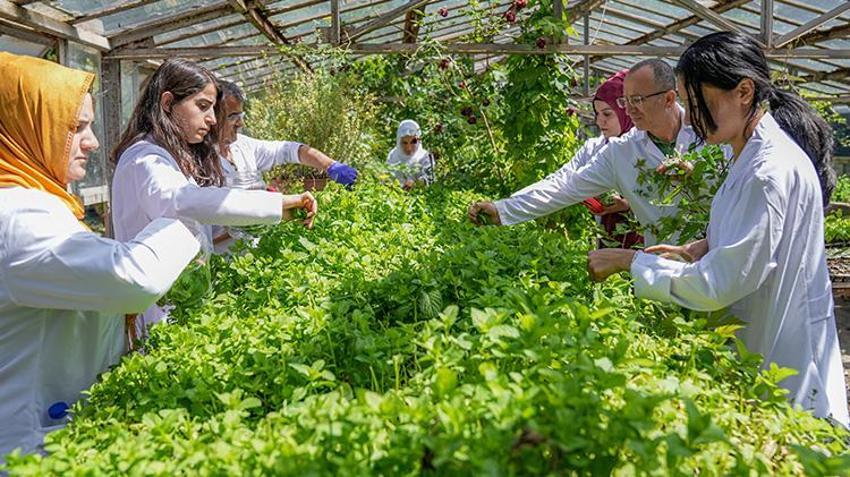 Diyarbakırlı kadınlar devlet desteğiyle girişimci oldu! Markalarını kurdular, patentleri çıkardılar; şifalı ürünlerini dünyaya satacaklar 