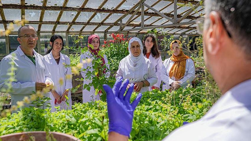 Diyarbakırlı kadınlar devlet desteğiyle girişimci oldu! Markalarını kurdular, patentleri çıkardılar; şifalı ürünlerini dünyaya satacaklar 