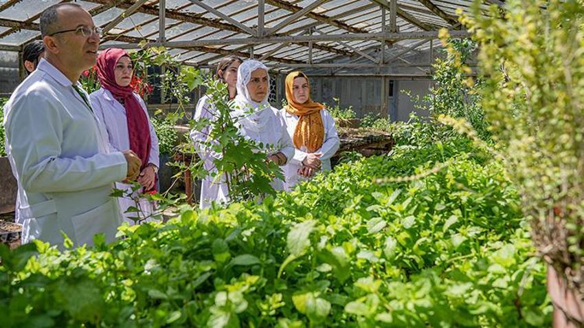 Diyarbakırlı kadınlar devlet desteğiyle girişimci oldu! Markalarını kurdular, patentleri çıkardılar; şifalı ürünlerini dünyaya satacaklar 