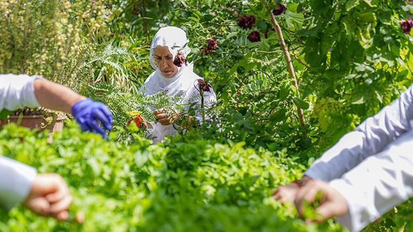 Diyarbakırlı kadınlar devlet desteğiyle girişimci oldu! Markalarını kurdular, patentleri çıkardılar; şifalı ürünlerini dünyaya satacaklar 