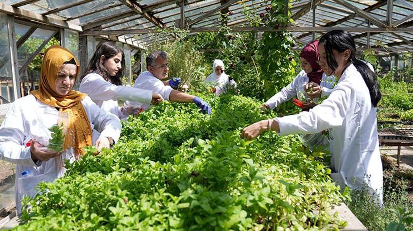 Diyarbakırlı kadınlar devlet desteğiyle girişimci oldu! Markalarını kurdular, patentleri çıkardılar; şifalı ürünlerini dünyaya satacaklar 