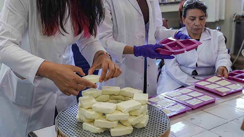 Diyarbakırlı kadınlar devlet desteğiyle girişimci oldu! Markalarını kurdular, patentleri çıkardılar; şifalı ürünlerini dünyaya satacaklar 