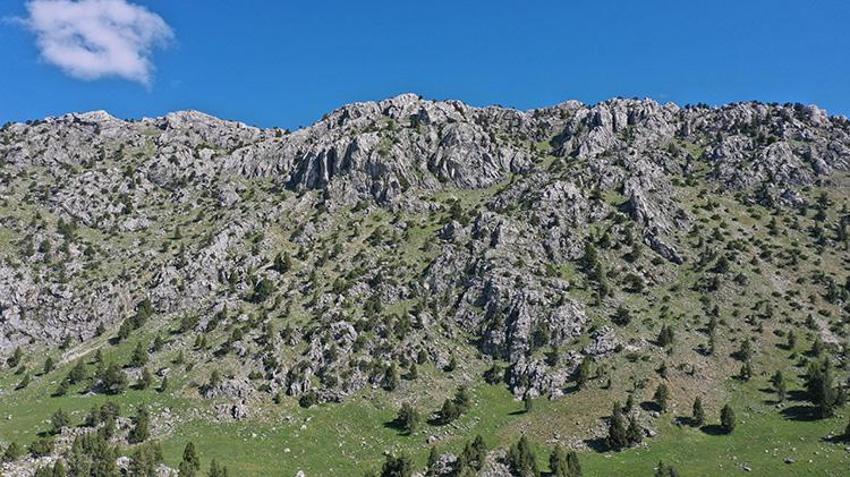 200 bin dönümlük araziyi kapsıyor! Türkiye'nin 50. milli parkı oldu! Kentte büyük sevinçle karşılandı