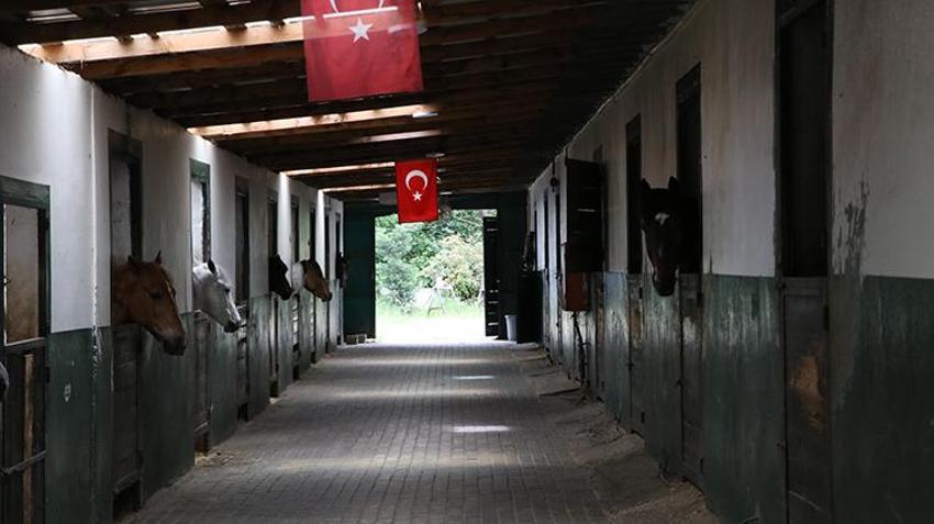 Yalova'da atıyla iş kurdu, 150 gence spor imkanı sağladı! Sadece 'Kapuçino' ile bu işi başardı
