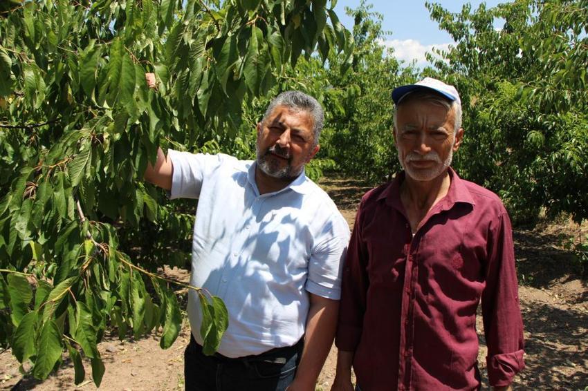 Türkiye'nin üretim deposuydu, 1 tane bile yok! Köylüler şokta: Bahçeye gidesim gelmiyor