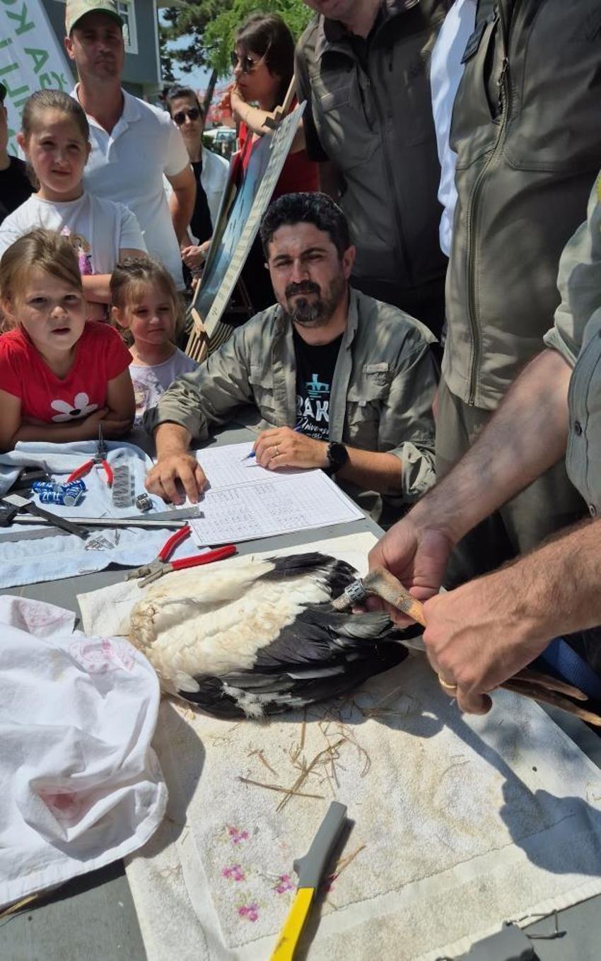 Trakya'da, leylekler ve Şah Kartal için koruma seferberliği başlatıldı