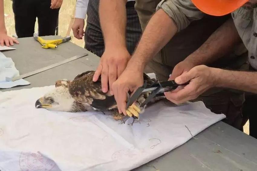 5 yıllık proje başlıyor! Trakya'da biyolojik çeşitlilik artacak