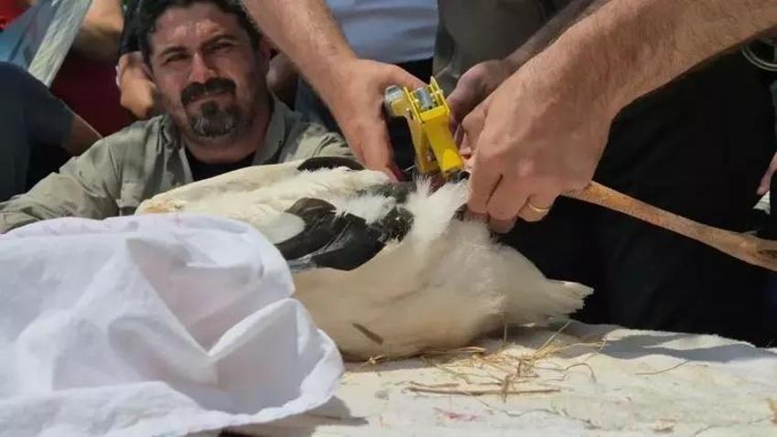 5 yıllık proje başlıyor! Trakya'da biyolojik çeşitlilik artacak