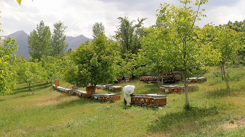 Vanlı girişimci yüzde 80 engelli olmasına rağmen üretime başladı! Şimdi siparişlere yetişemiyor