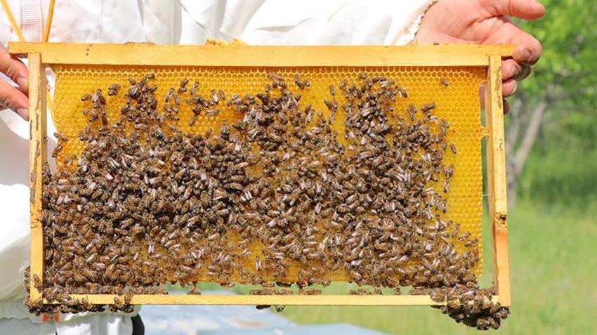 Vanlı girişimci yüzde 80 engelli olmasına rağmen üretime başladı! Şimdi siparişlere yetişemiyor