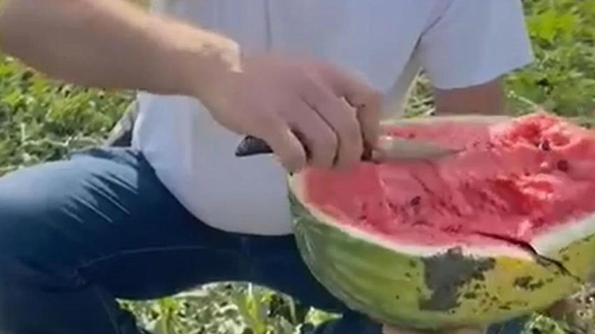 Adana'nın karpuzcusu işin sırrını açıkladı: Bal gibi karpuz böyle seçiliyor