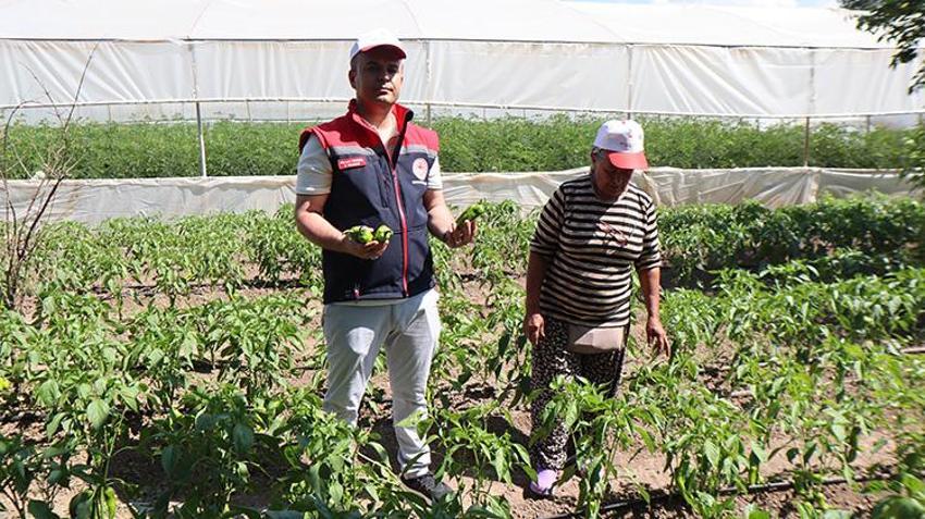 Emekli olunca memleketi Iğdır'a döndü, İnternetten öğrendi, evinin bahçesine kurdu! Şimdi hem 3 aileyi geçindiriyor