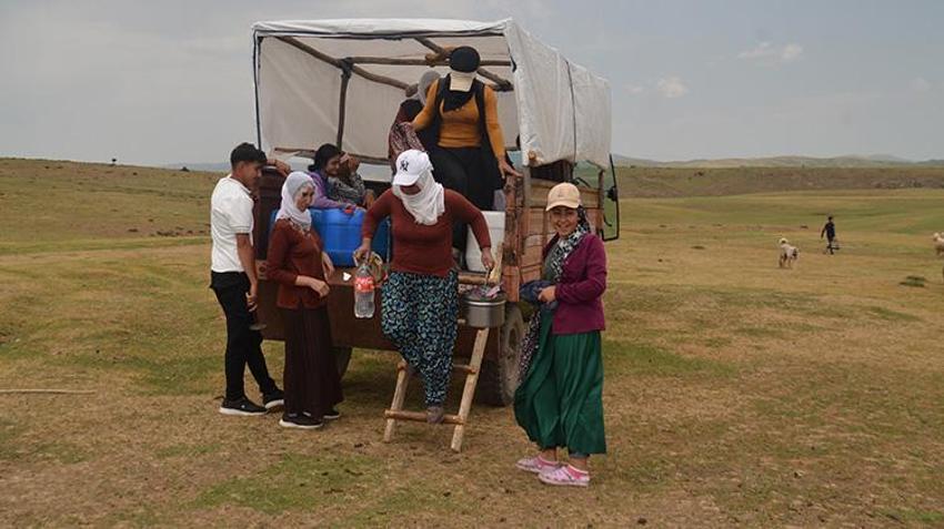Muşlu berivanlar her gün kilometrelerce yol gidiyor! Hepsinin tek bir amacı var