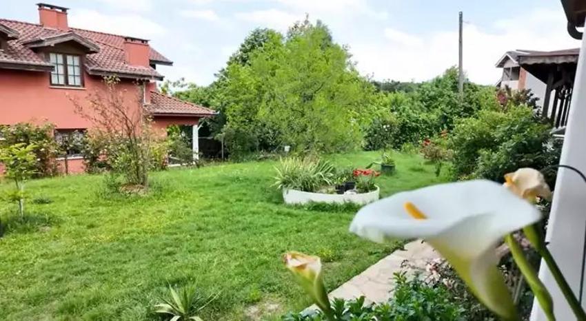 İstanbul'u terk edip köy hayatına kucak açtı! Şimdi kendi yaptığı evinde doğa ile iç içe bir yaşam sürüyor