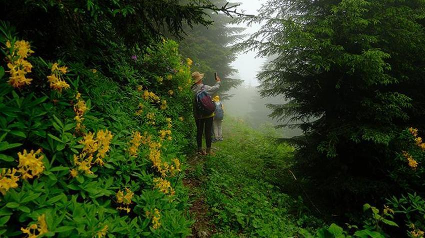 Gümüşhane'de böyle bir yer olduğunu çok az kişi biliyor! Kayıp Santa Yolu'ndan sırlı tarihe yolculuk 