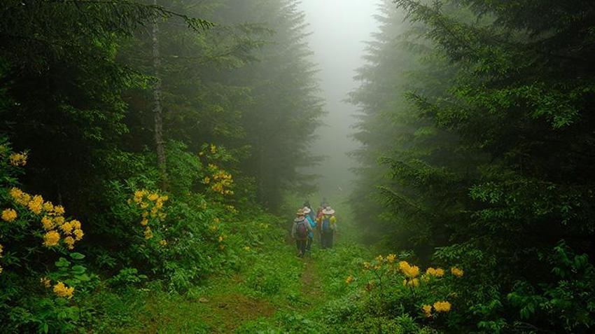 Gümüşhane'de böyle bir yer olduğunu çok az kişi biliyor! Kayıp Santa Yolu'ndan sırlı tarihe yolculuk 