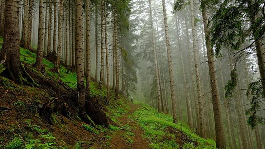 Gümüşhane'de böyle bir yer olduğunu çok az kişi biliyor! Kayıp Santa Yolu'ndan sırlı tarihe yolculuk 