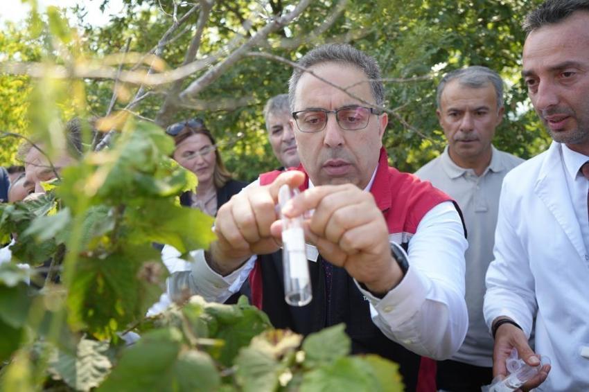 Tarımın en büyük sorunu Samsun'da çözüldü! Çiftçinin yüzü bu haberle güldü