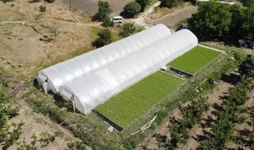 Bu iş için binlerce euro maaşı bıraktı! Memlekete dönüp üretimi 85 dönüme çıkardı: 12 ton satışı var