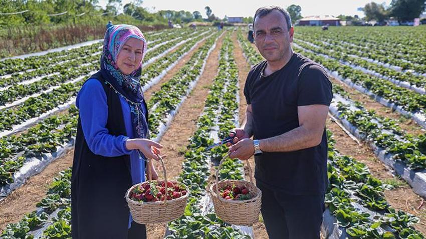 Sakarya'da babasına destek olmak için bu işe başladı! Mühendisliği bırakıp çiftçi oldu