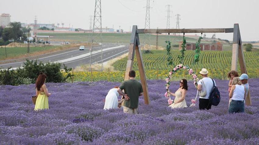İstanbul'a 1, 5 saat uzaklıkta: Ziyaretçiler akın ediyor! Doğa ve fotoğraf tutkunlarının yeni adresi oldu