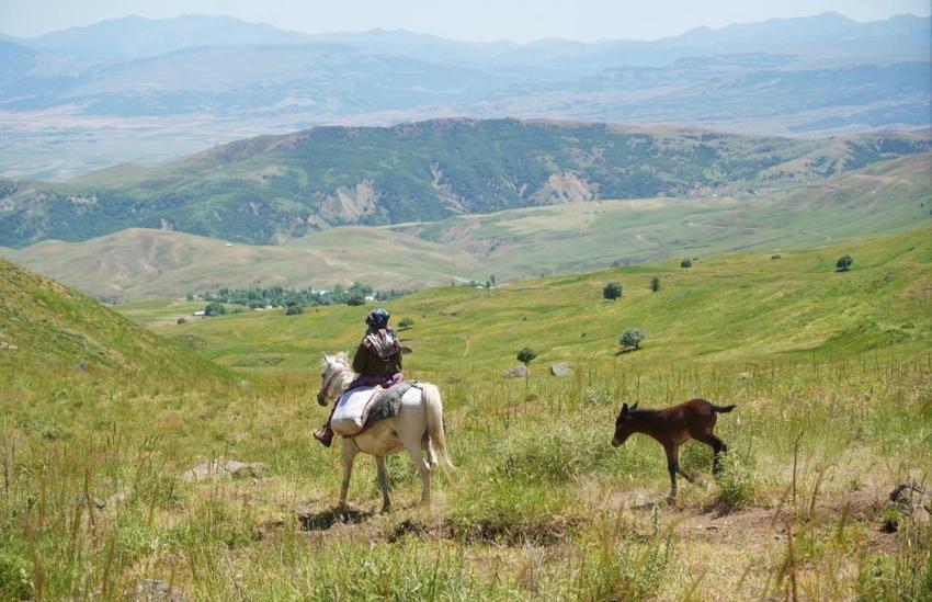 Muş'ta kadınlar at sırtında: Evden 16 kilometre uzakta bu işi yapıyorlar