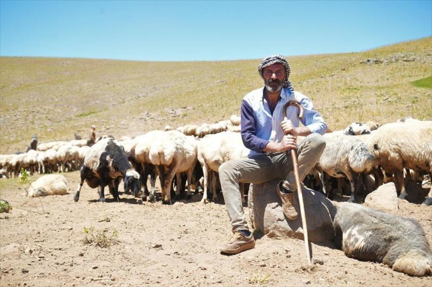 Muş'ta kadınlar at sırtında: Evden 16 kilometre uzakta bu işi yapıyorlar