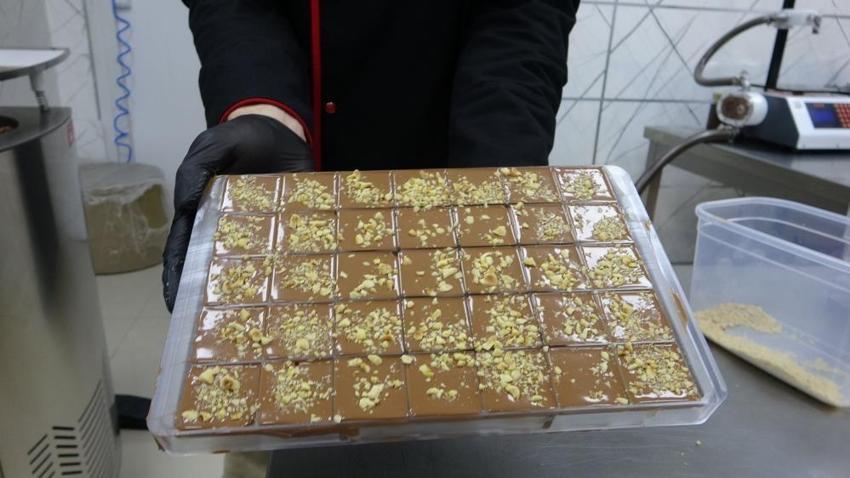 İsviçre'de ücretsiz öğrendi, Giresun'da geleceğini kurtardı! 40 ton üretime ulaştı: Yazılımı bırakıp, köye döndüler