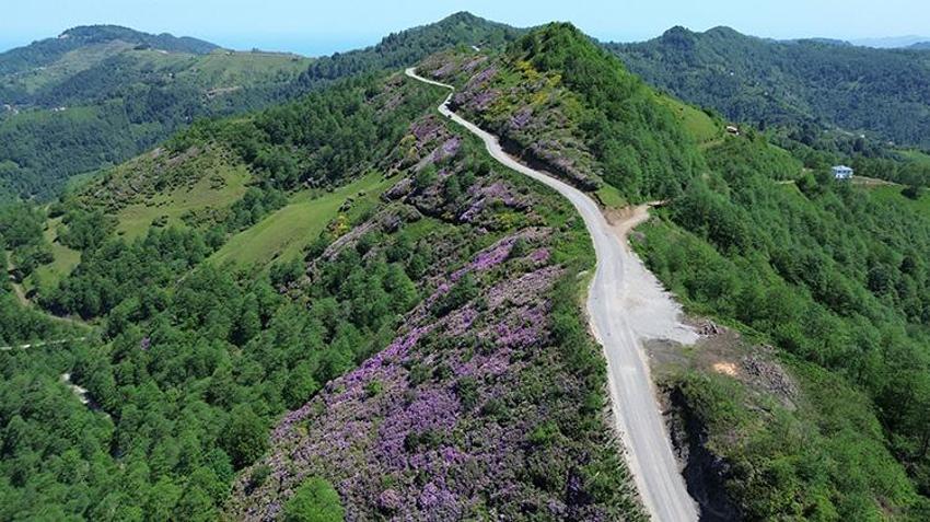 Yatağa bağımlı meslektaşının yayla hasretini drone görüntüleriyle dindirdi! Trabzon yaylaları drone ile yatağına geldi!