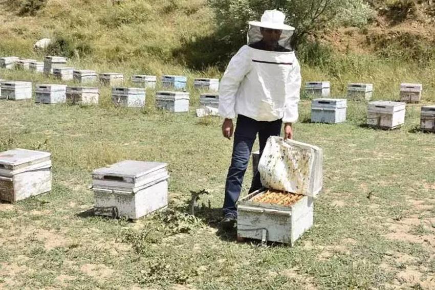 Bitlis'te hiç bir zaman böylesi görülmedi: 15 kilonun altına düşünce ritim bozuldu