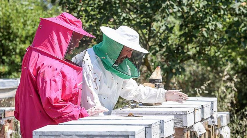 Kilosunu 10 gram altın fiyatına satıyorlar! Bursa'da 4 arkadaş işlerinden istifa edip süt üretmeye başladı