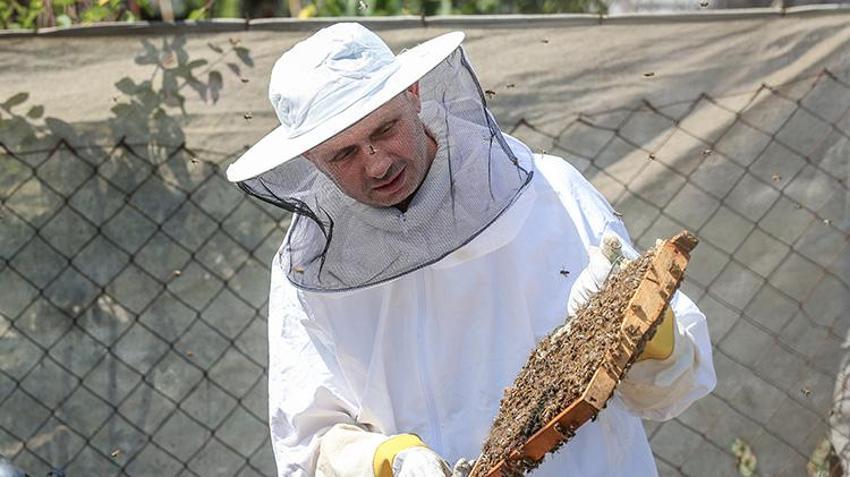 Kilosunu 10 gram altın fiyatına satıyorlar! Bursa'da 4 arkadaş işlerinden istifa edip süt üretmeye başladı