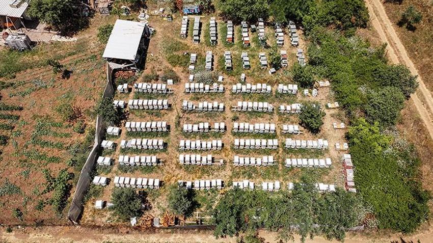 Kilosunu 10 gram altın fiyatına satıyorlar! Bursa'da 4 arkadaş işlerinden istifa edip süt üretmeye başladı