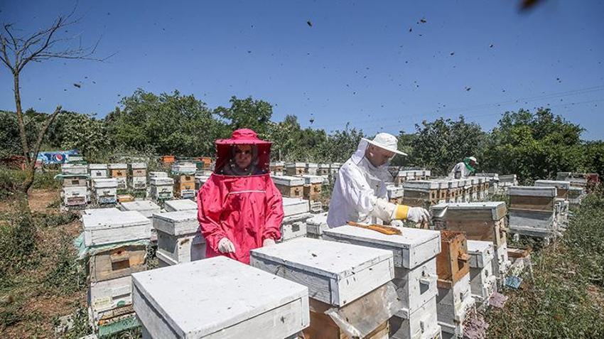 Kilosunu 10 gram altın fiyatına satıyorlar! Bursa'da 4 arkadaş işlerinden istifa edip süt üretmeye başladı