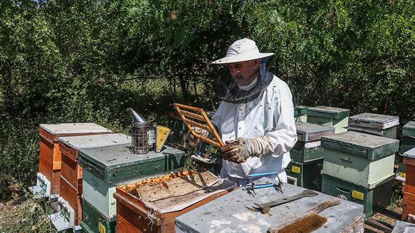Kilosunu 10 gram altın fiyatına satıyorlar! Bursa'da 4 arkadaş işlerinden istifa edip süt üretmeye başladı