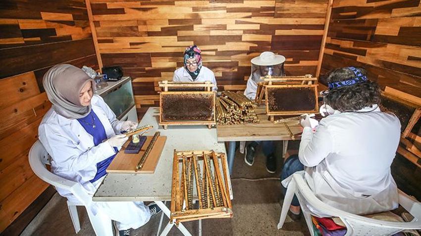 Kilosunu 10 gram altın fiyatına satıyorlar! Bursa'da 4 arkadaş işlerinden istifa edip süt üretmeye başladı