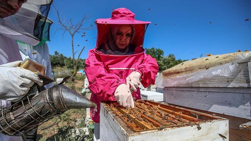 Kilosunu 10 gram altın fiyatına satıyorlar! Bursa'da 4 arkadaş işlerinden istifa edip süt üretmeye başladı