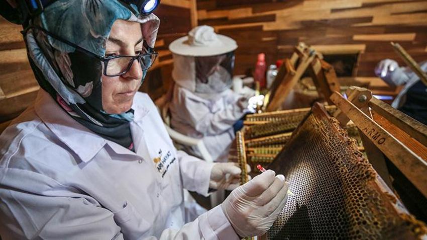 Kilosunu 10 gram altın fiyatına satıyorlar! Bursa'da 4 arkadaş işlerinden istifa edip süt üretmeye başladı