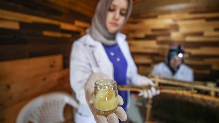 Kilosunu 10 gram altın fiyatına satıyorlar! Bursa'da 4 arkadaş işlerinden istifa edip süt üretmeye başladı