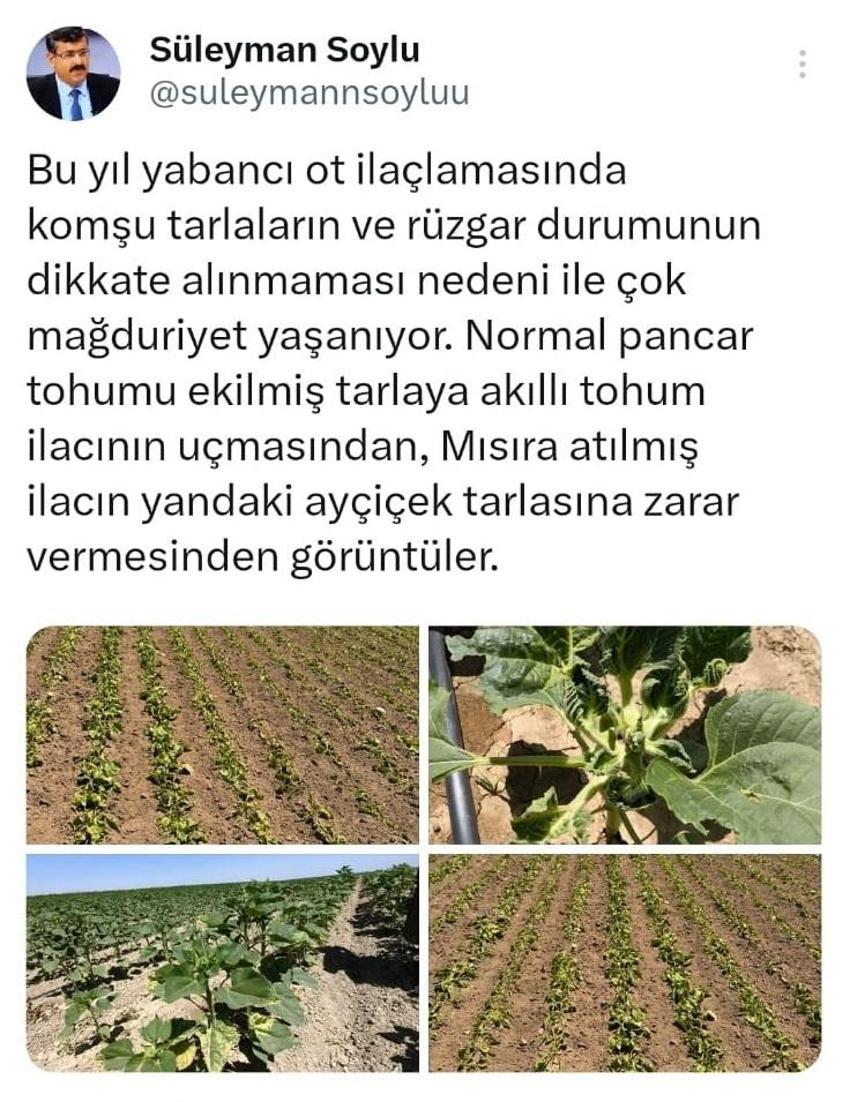 Konya'da ilaçlar rüzgarla taşındı: Tehlike yakında soframıza gelebilir