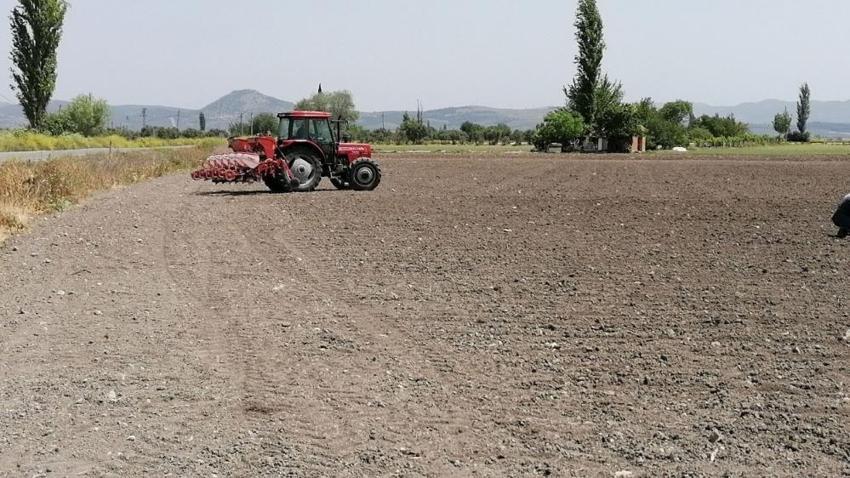 Manisa'da 10 bin dekarda ekim başladı: 300 yıllık tohum geleneği var