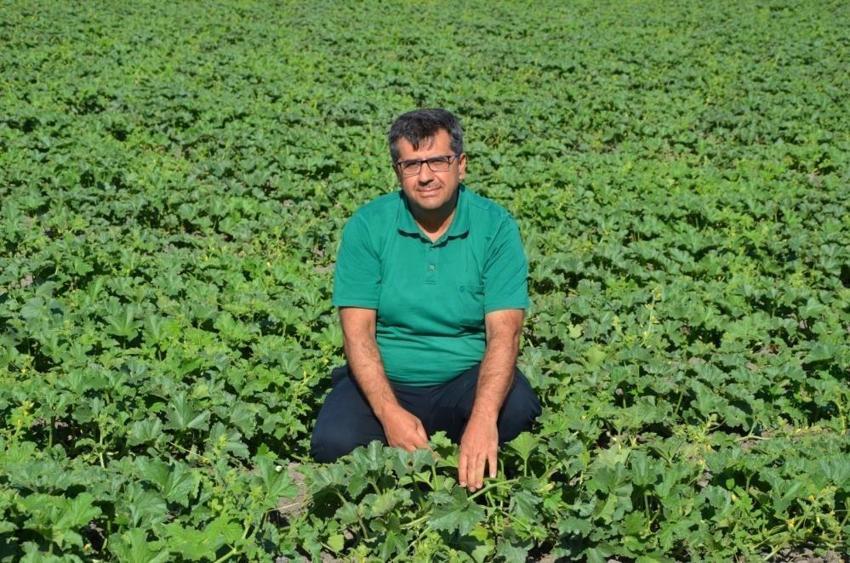 Manisa'da 10 bin dekarda ekim başladı: 300 yıllık tohum geleneği var