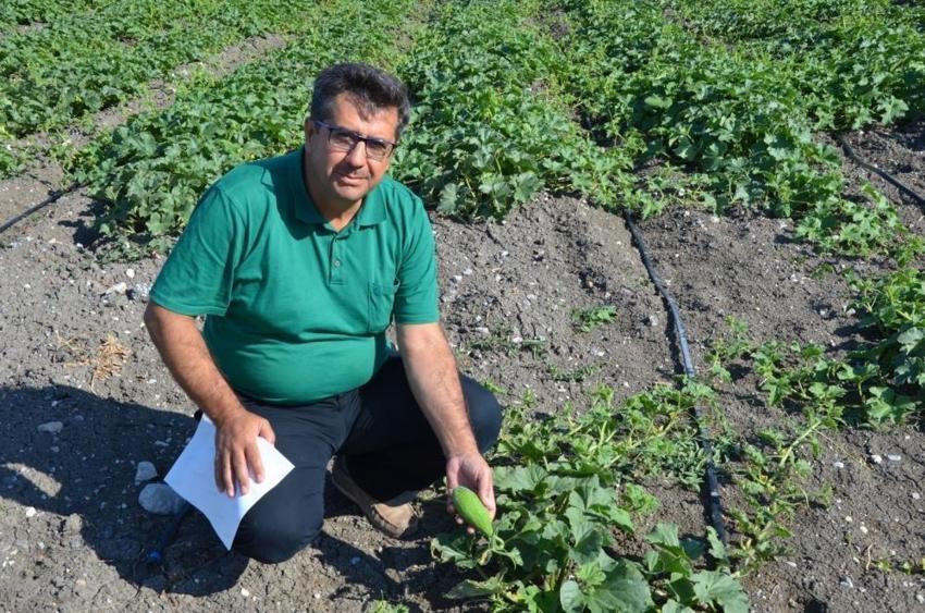 Manisa'da 10 bin dekarda ekim başladı: 300 yıllık tohum geleneği var