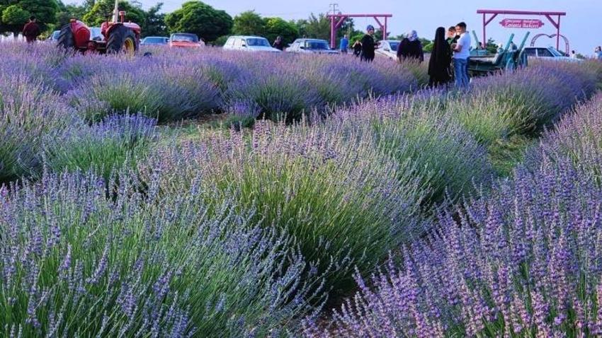 Konya'ya 75 kilometre uzakta açıldı: Sakin bir cennet huzuru sunuyor