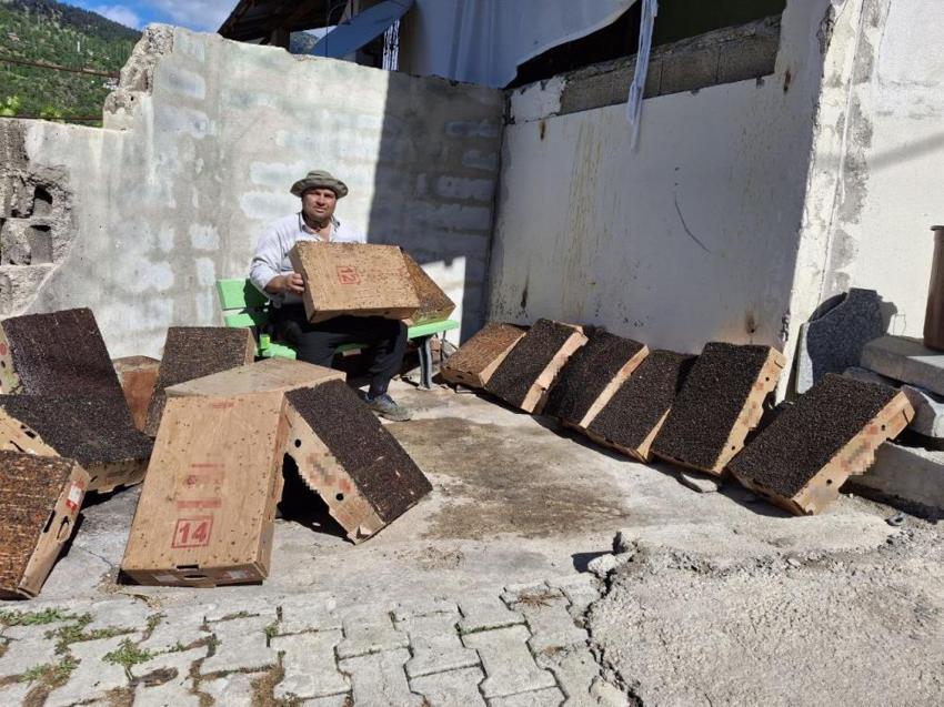 15 dakikada binlerce sinek yakaladı! Adana usulü yöntemde iki ürün kullandı