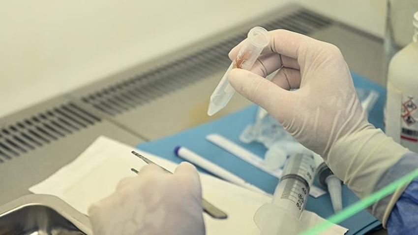 Türkiye'de bir ilk Adana'da hayata geçti! Organ bağışına deri de eklendi; deriniz hayat kurtaracak