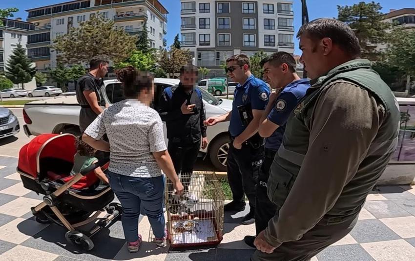 Elindeki kafeste hazine taşıyordu: Kırmızı listedeydi cadde üzerinde yakalandı